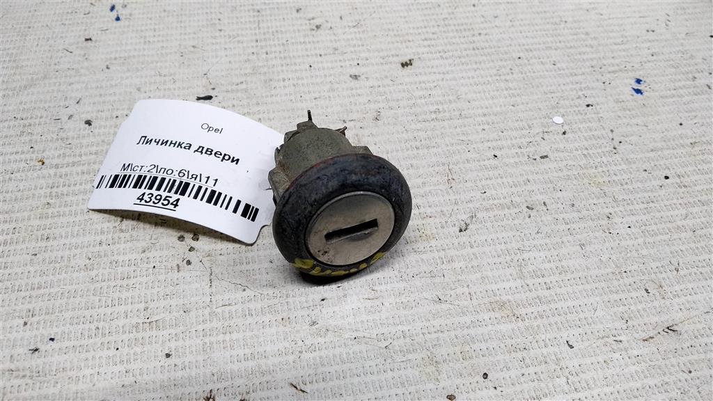 Opel Ascona C (1981—1988) для Личинка двери