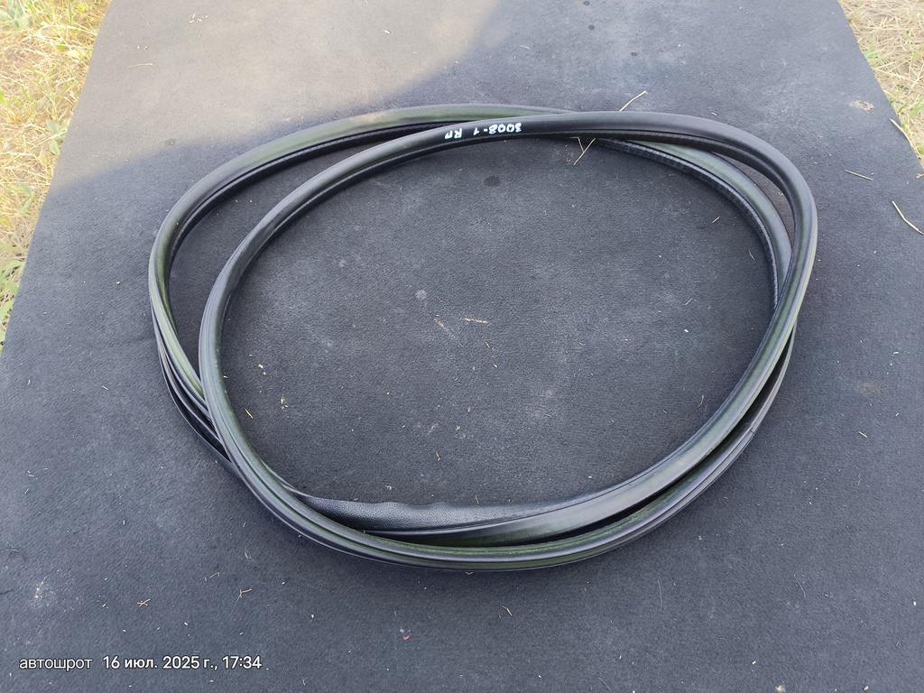 Peugeot 3008 I рестайлинг (2013—2016) для Резинка двери