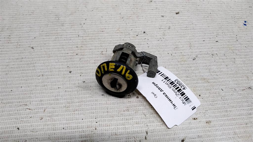 Opel Ascona C (1981—1988) для Личинка двери