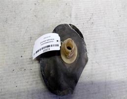 Сетка насоса топливного для ЗапчастИ  запчасти бу