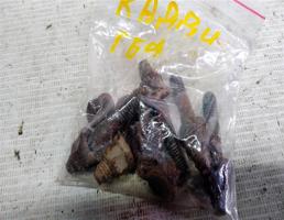 Шпилька ГБЦ для VOLKSWAGEN Caddy III (2004—2010)  запчасти бу