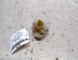 Патрон заднего фонаря для BMW 5 серия E28 (1981—1988)  запчасти бу