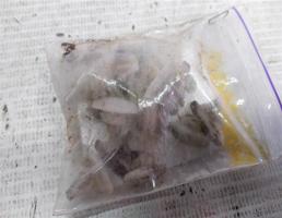 Пистон крепления резинки с двери для Chevrolet Lanos I (2002—2009)  запчасти бу