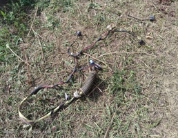 Проводка двери багажника для Jeep Cherokee III (2001—2004)  запчасти бу