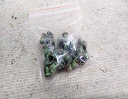 Пистон молдинга наружнего для BMW 3 серия E46 (1998—2003)  запчасти бу