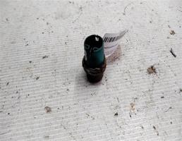 Датчик температуры для VOLKSWAGEN Golf Mk2 (1983—1992)  запчасти бу