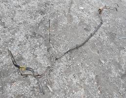 Трубка топливная для VOLKSWAGEN Passat B5 (1996—2001)  запчасти бу