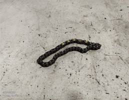 Цепь привода масляного насоса для Nissan Maxima A32 (1994—2000)  запчасти бу