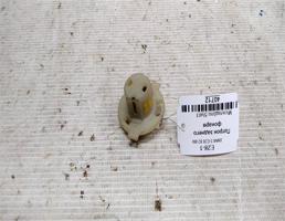 Патрон заднего фонаря для BMW 5 серия E28 (1981—1988)  запчасти бу