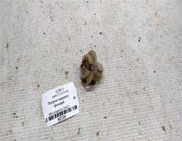 Патрон заднего фонаря для BMW 5 серия E28 (1981—1988)  запчасти бу