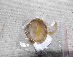 Крышка бачка омывателя для Ford Sierra I (1982—1989)  запчасти бу