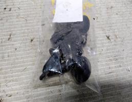 Пистон крепления бампера заднего для Ford Focus I (1998—2004)  запчасти бу