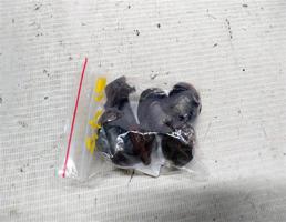 Болт маховика для Nissan Pulsar N15 (1995—2000)  запчасти бу