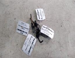 Форсунка охлаждения поршня для Ford Focus I (1998—2004)  запчасти бу