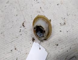 Патрон указателя поворота для Mercedes-Benz 190 (W201) W201 (1982—1993)  запчасти бу