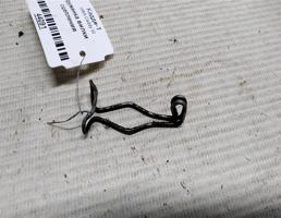 Пружинка вилки сцепления для VOLKSWAGEN Caddy III (2004—2010)  запчасти бу