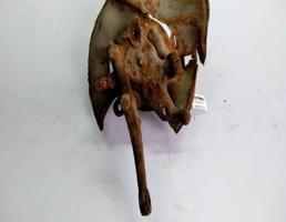 Кулак поворотный передний левый для Mercedes-Benz E-класс W124/S124/C124/A124 (1984—1997)  запчасти бу