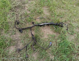 Проводка ДВС для Ford Focus I (1998—2004)  запчасти бу